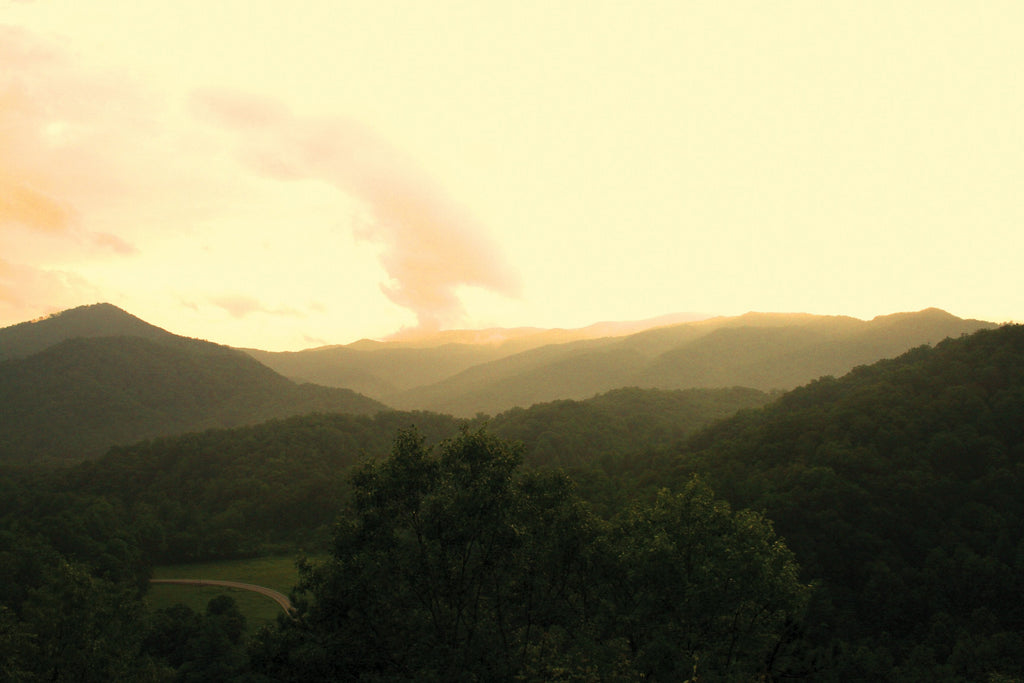 Shaffer Hills Wall Decal