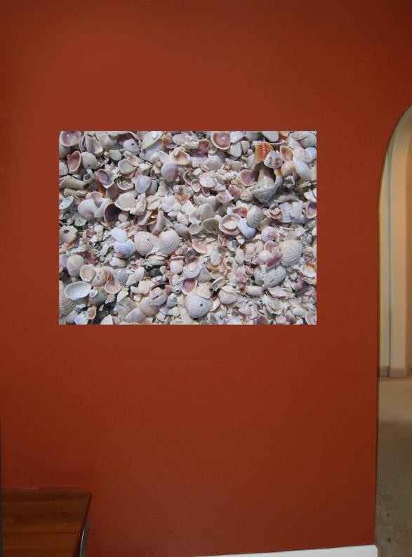 Kraft "Beach Shells" Wall Decal
