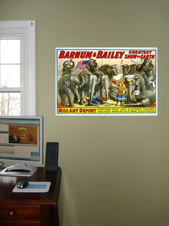 Buell "Barnum & Bailey" Miss Amy Dupont Wall Decal