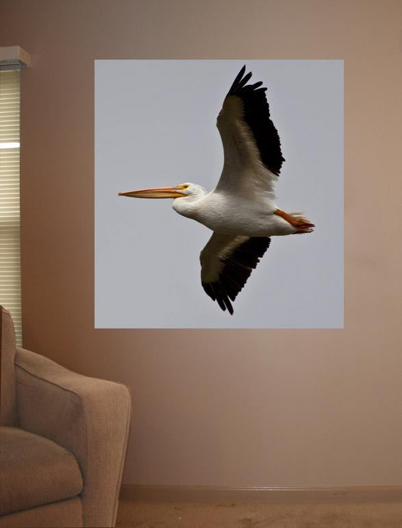 Schmeltzer Pelican Wall Decal
