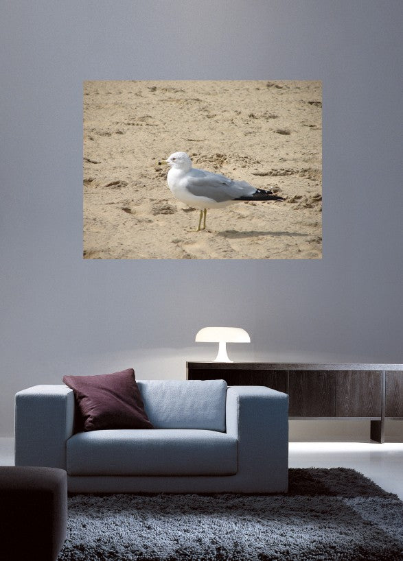 Viar Seagull Wall Decal