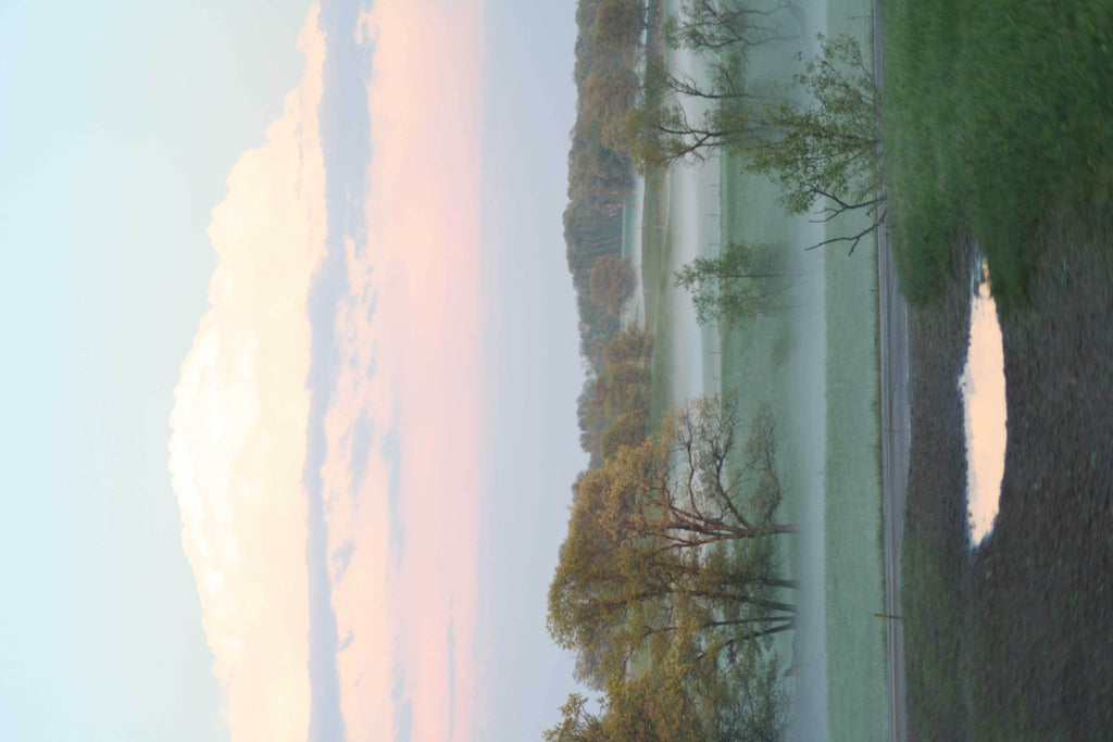 Reimer Landscape I Glossy Poster