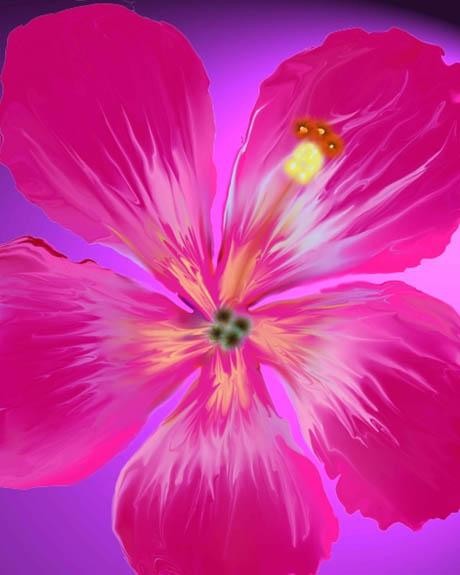 Pick "Small Tropical Pink" Glossy Poster