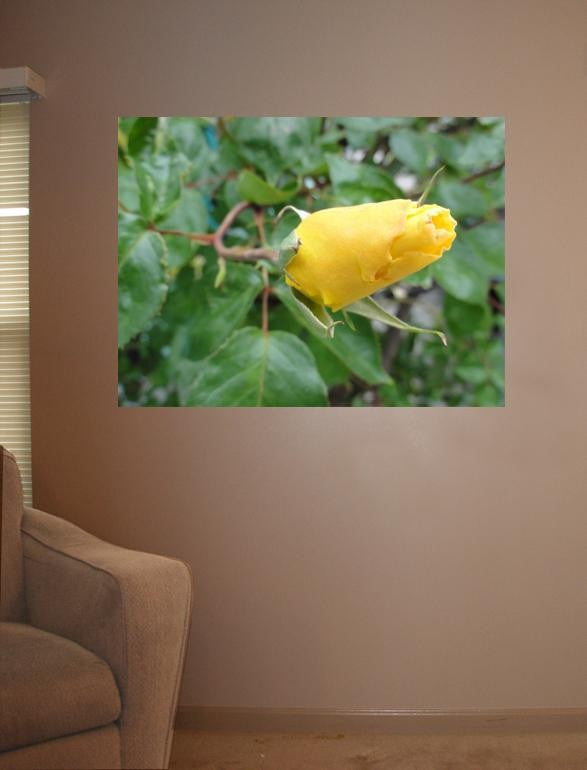 Sumerlin Bloom of Yellow Rose Glossy Poster