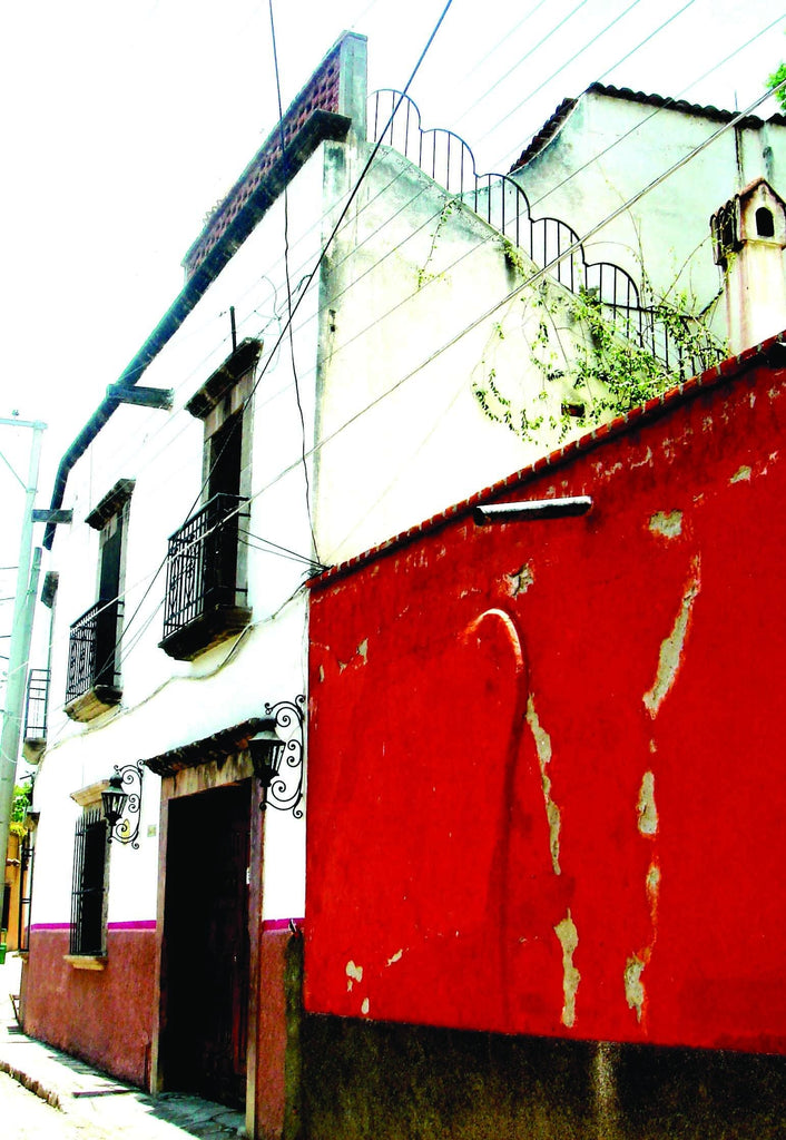 Warren Mexico III Wall Decal