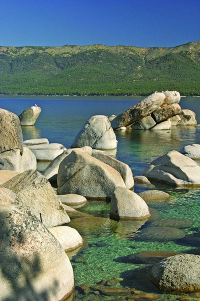 Hogan Lake II Wall Decal