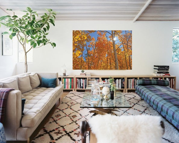 Hogan Forest II Wall Decal