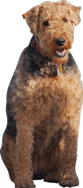 Clark Dog Wall Decal Cutout