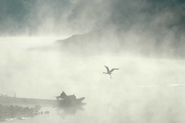 Guernsey Mist II Glossy Poster