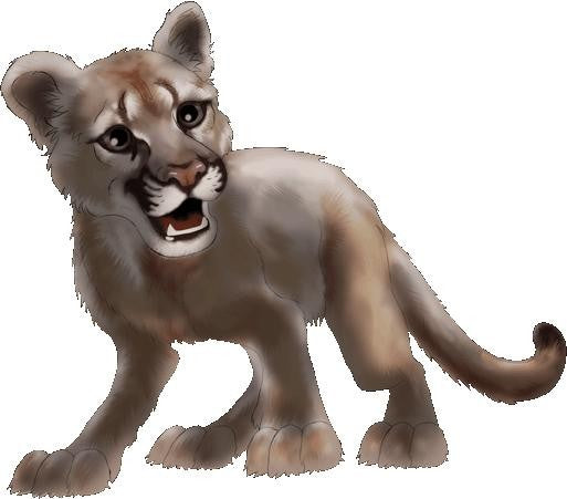 Murals2Go Cougar Wall Decal
