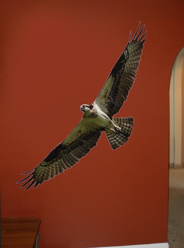 Schmeltzer Hawk Wall Decal Cutout