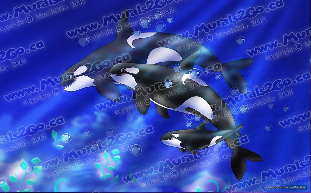 Murals2Go Orcas Glossy Poster