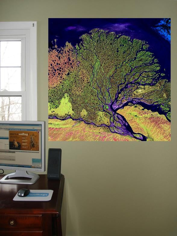 Buell Lena Glossy Poster