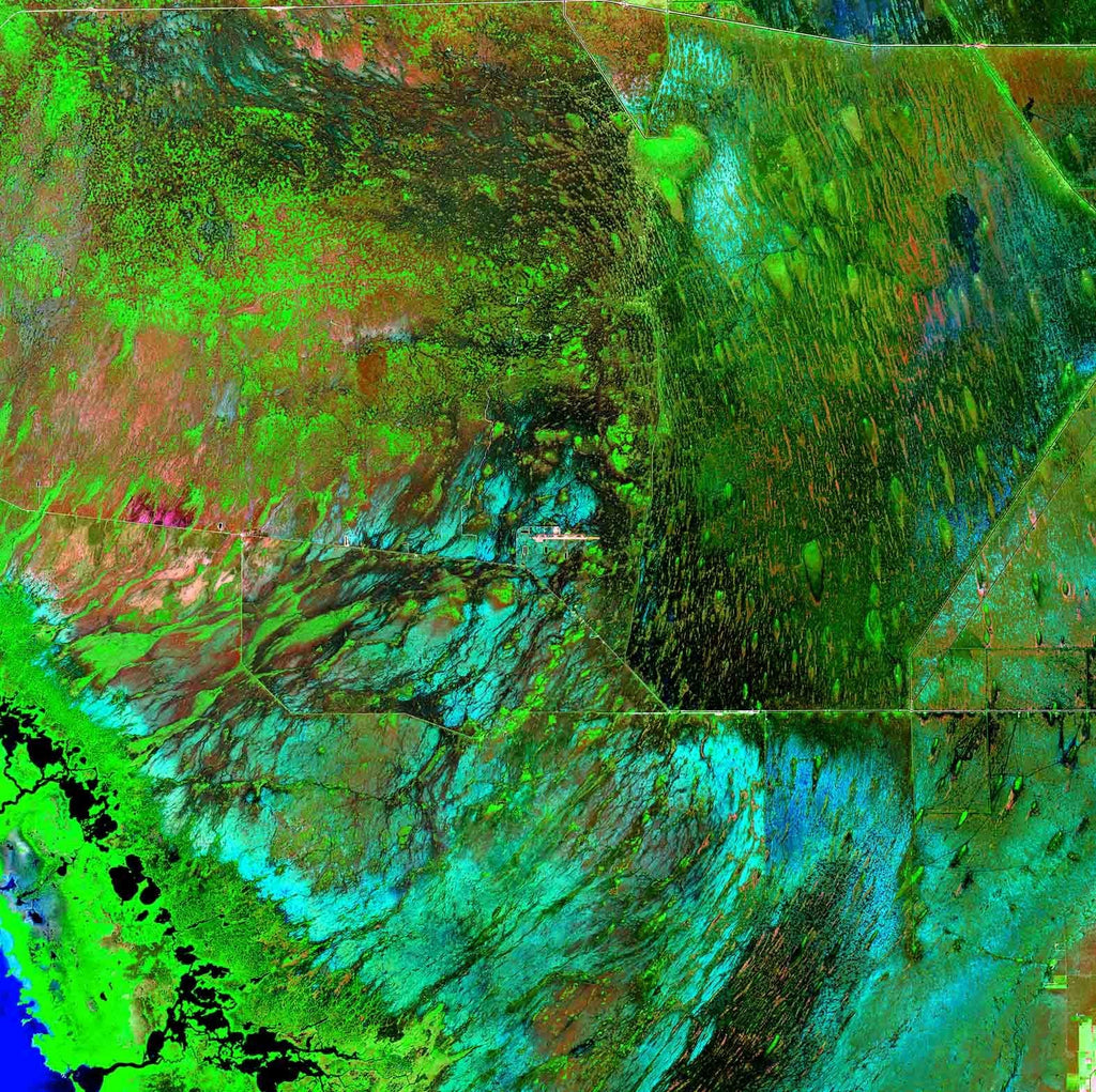 Buell Everglades Glossy Poster