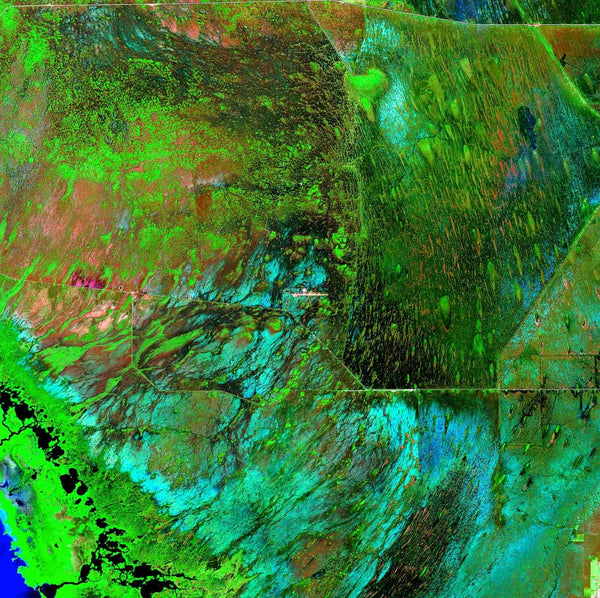 Buell Everglades Glossy Poster