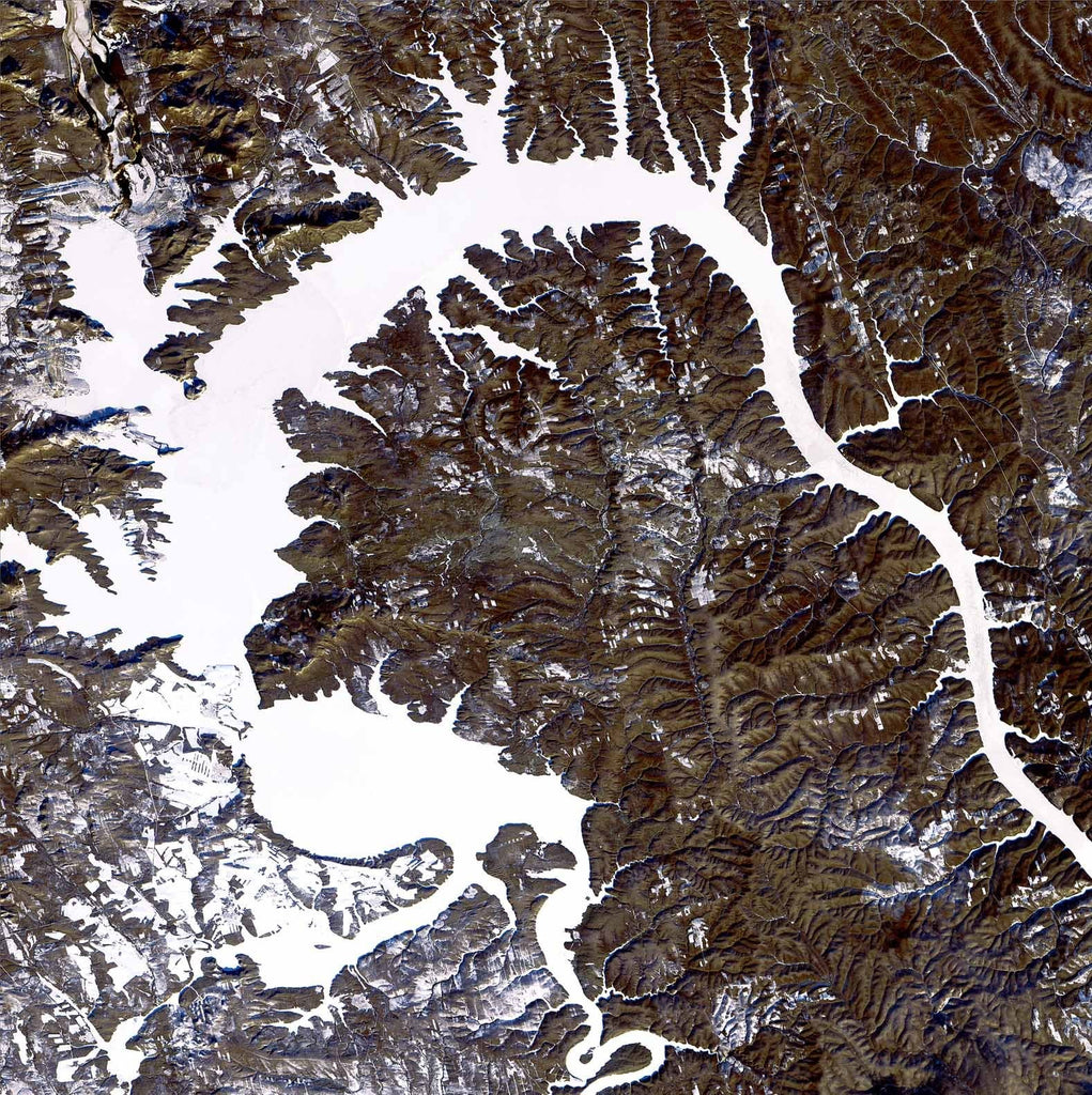 Buell Dragon Glossy Poster