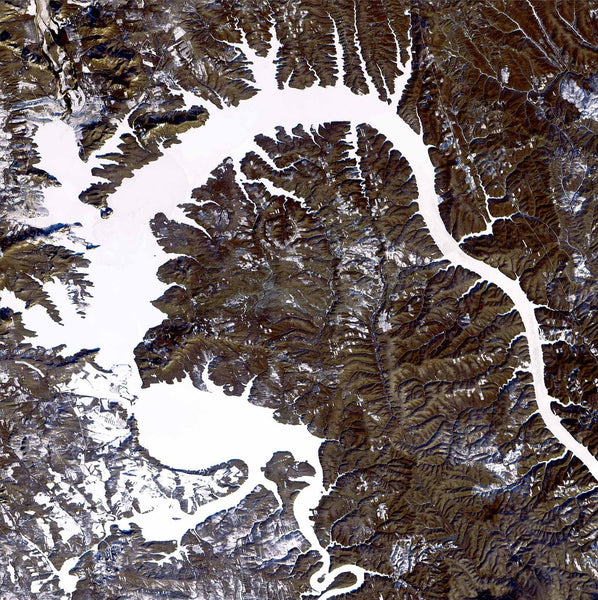 Buell Dragon Glossy Poster