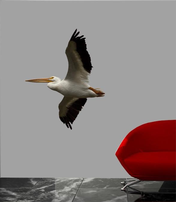 Schmeltzer Pelican Wall Decal Cutout