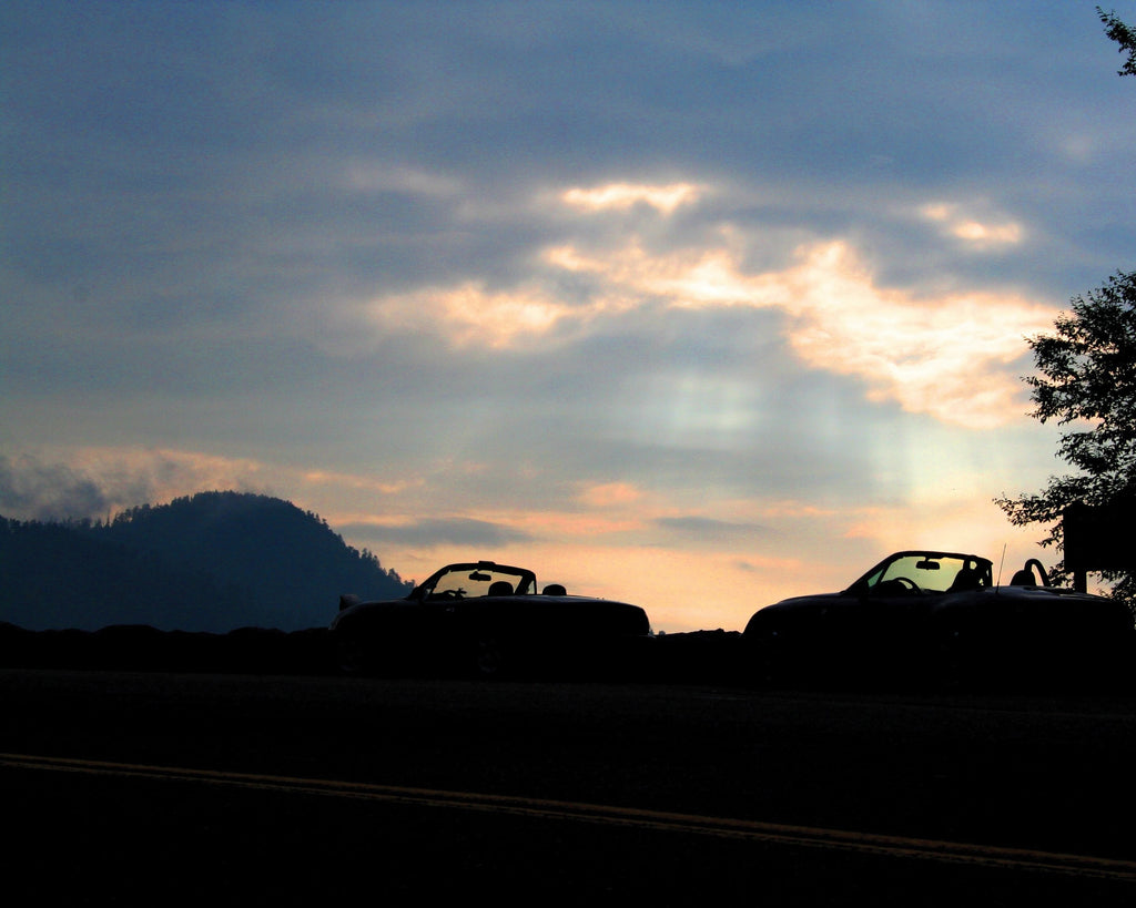 Shaffer Silhouette Glossy Poster