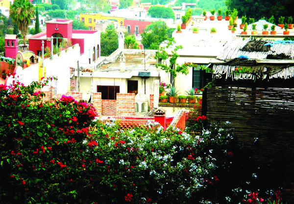 Warren Mexico XIV Glossy Poster