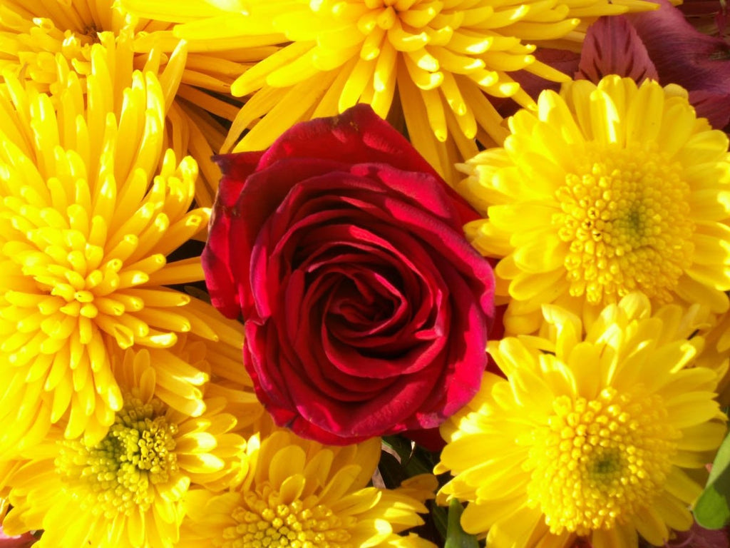 Howard "Acceptance" Wall Decal