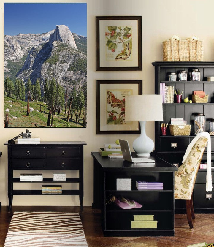 Hogan Mountain VIII Wall Decal