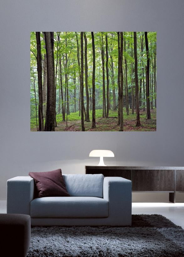 Krieg Forest Wall Decal