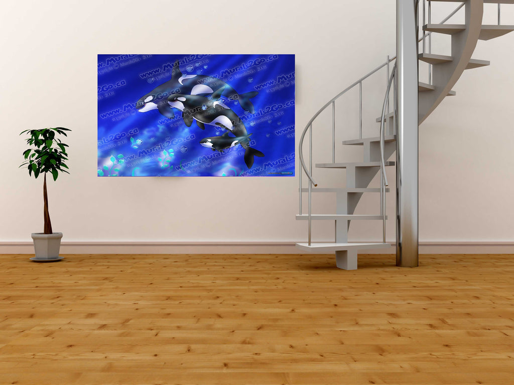 Murals2Go Orcas Glossy Poster