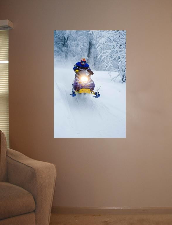 Searchlight GP Arctic II Wall Decal