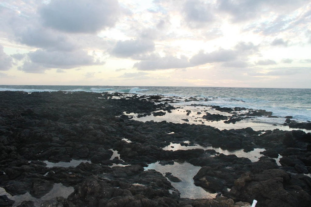 Howard "Endless" Wall Decal