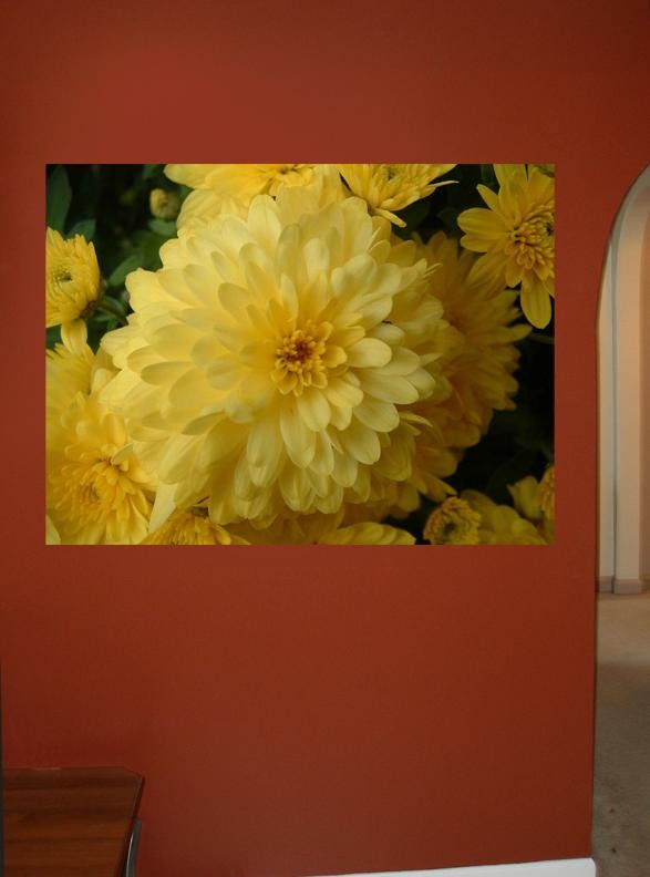 Clark Chrysanthemum Glossy Poster