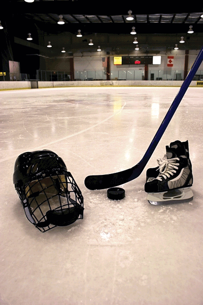 Hockey Equipment II Wall Decal Poster