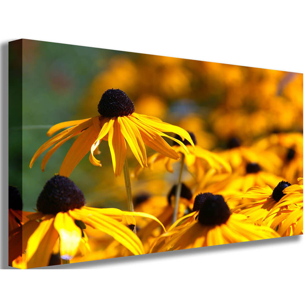Wallhogs Big Brother Canvas Print