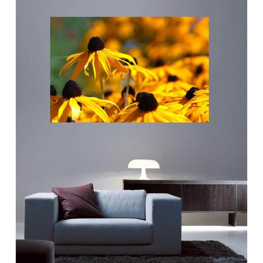 Walllhogs Big Brother Wall Decal Installed