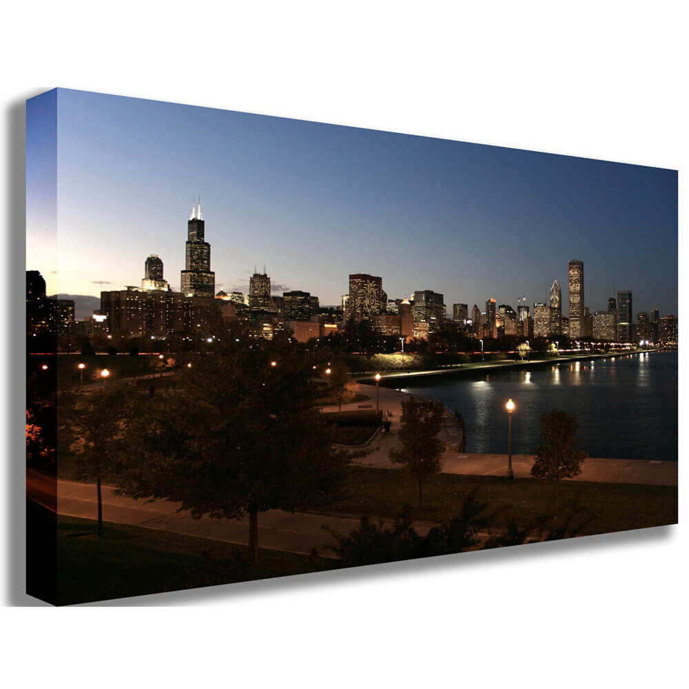 Wallhogs Downtown Chicago Canvas Print