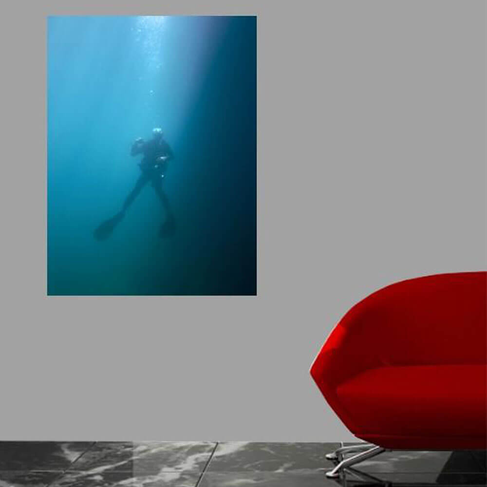 Wallhogs Going Up Glossy Poster Installed