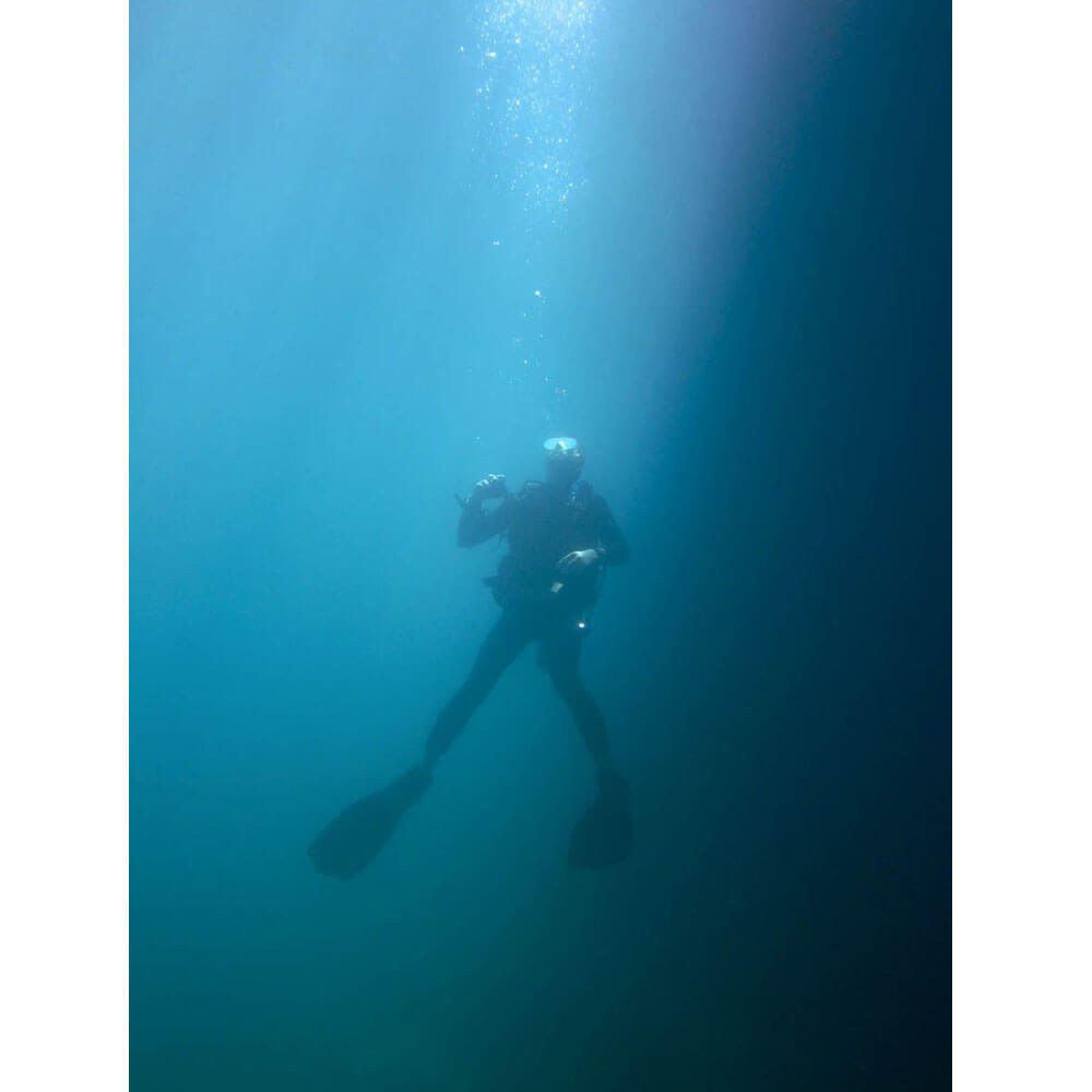 Wallhogs Going Up Wall Decal