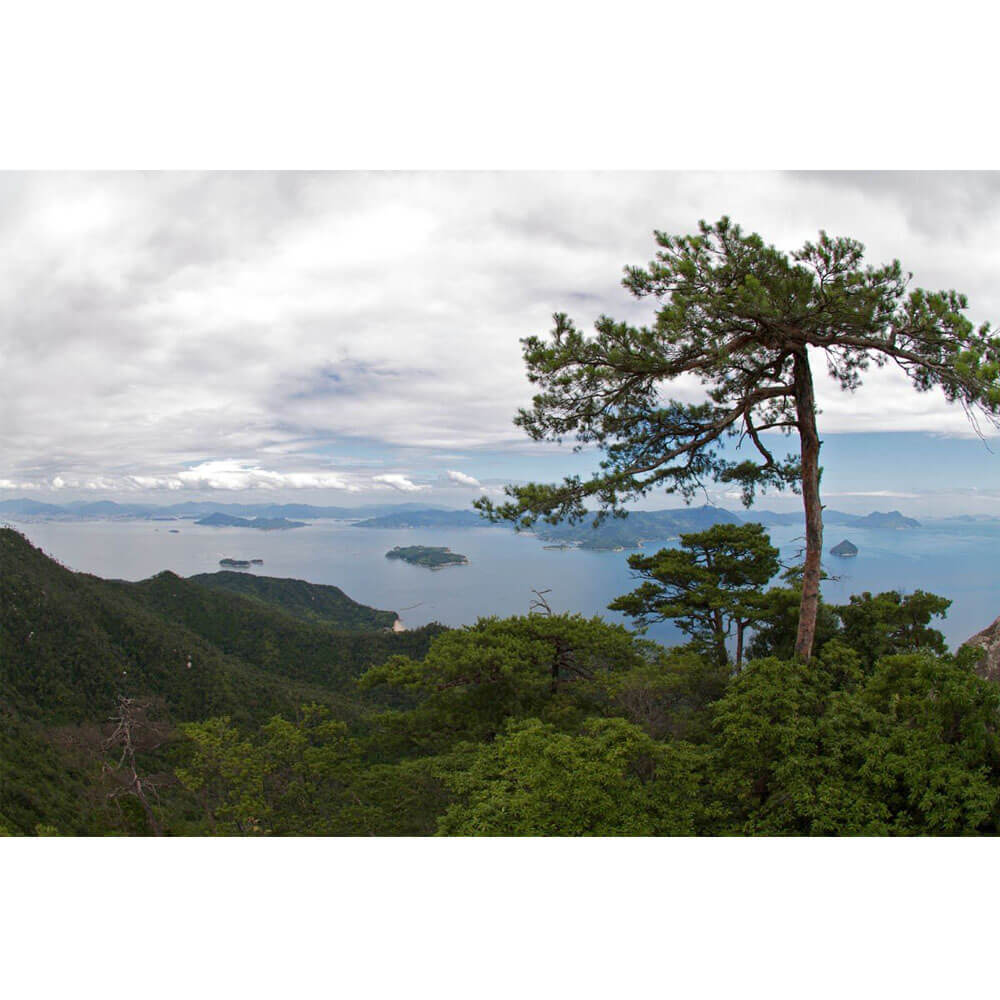 Wallhogs Island Hideaway Wall Decal