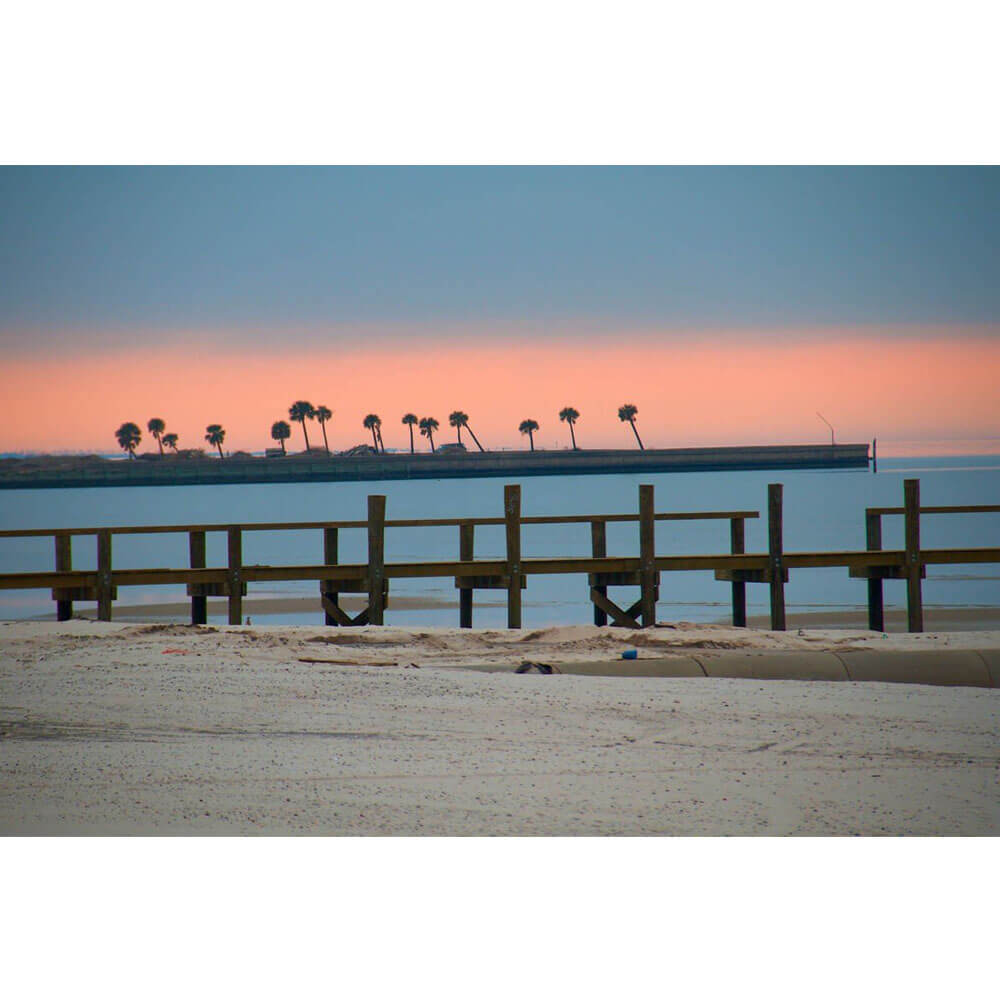 Arena Palms Rising Glossy Poster