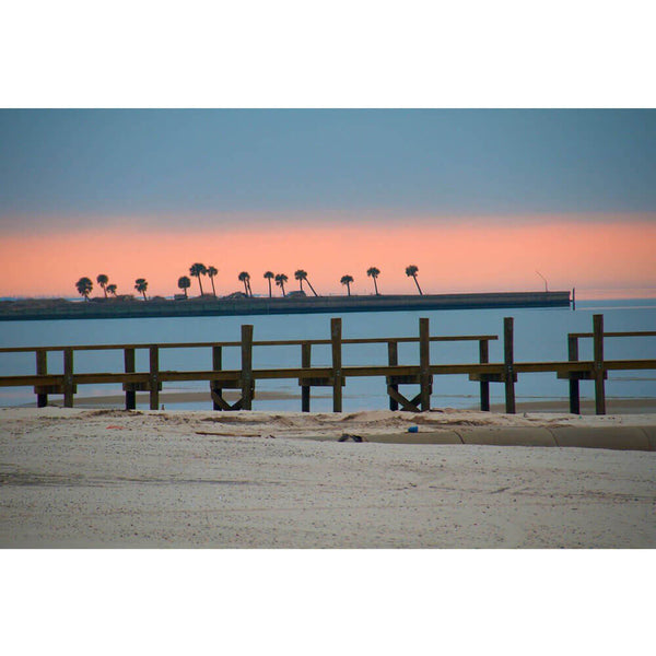 Arena Palms Rising Wall Decal