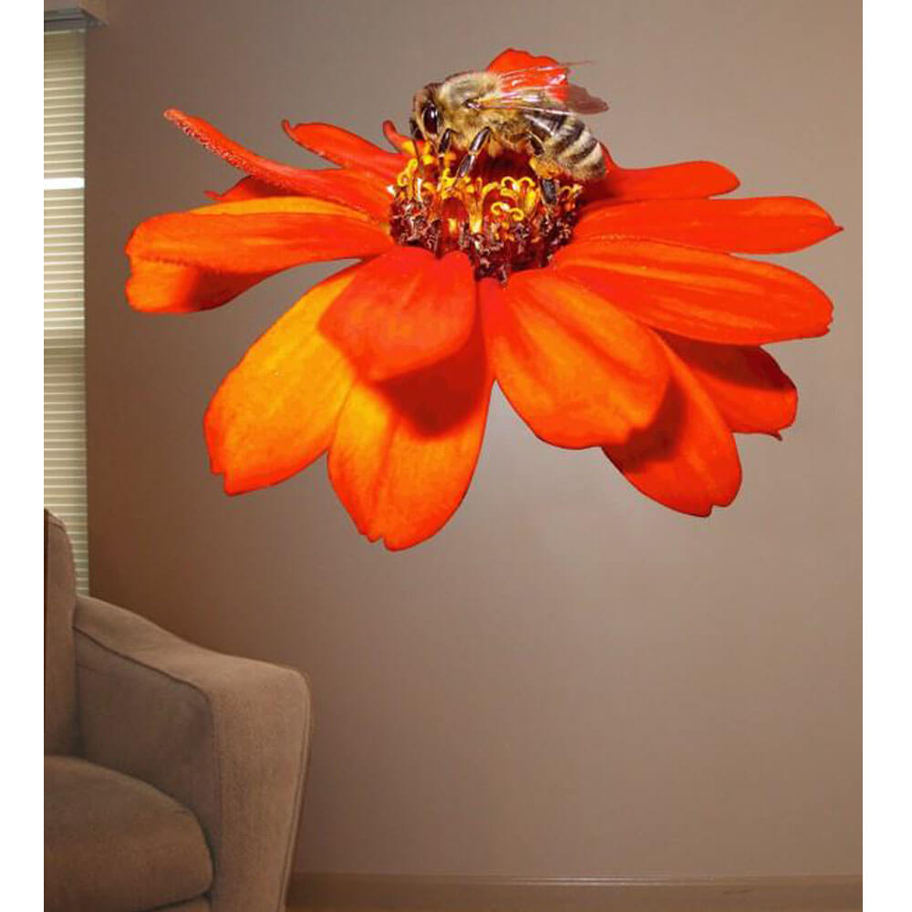 Arena Pollen Nation Die-Cut Wall Decal Installed