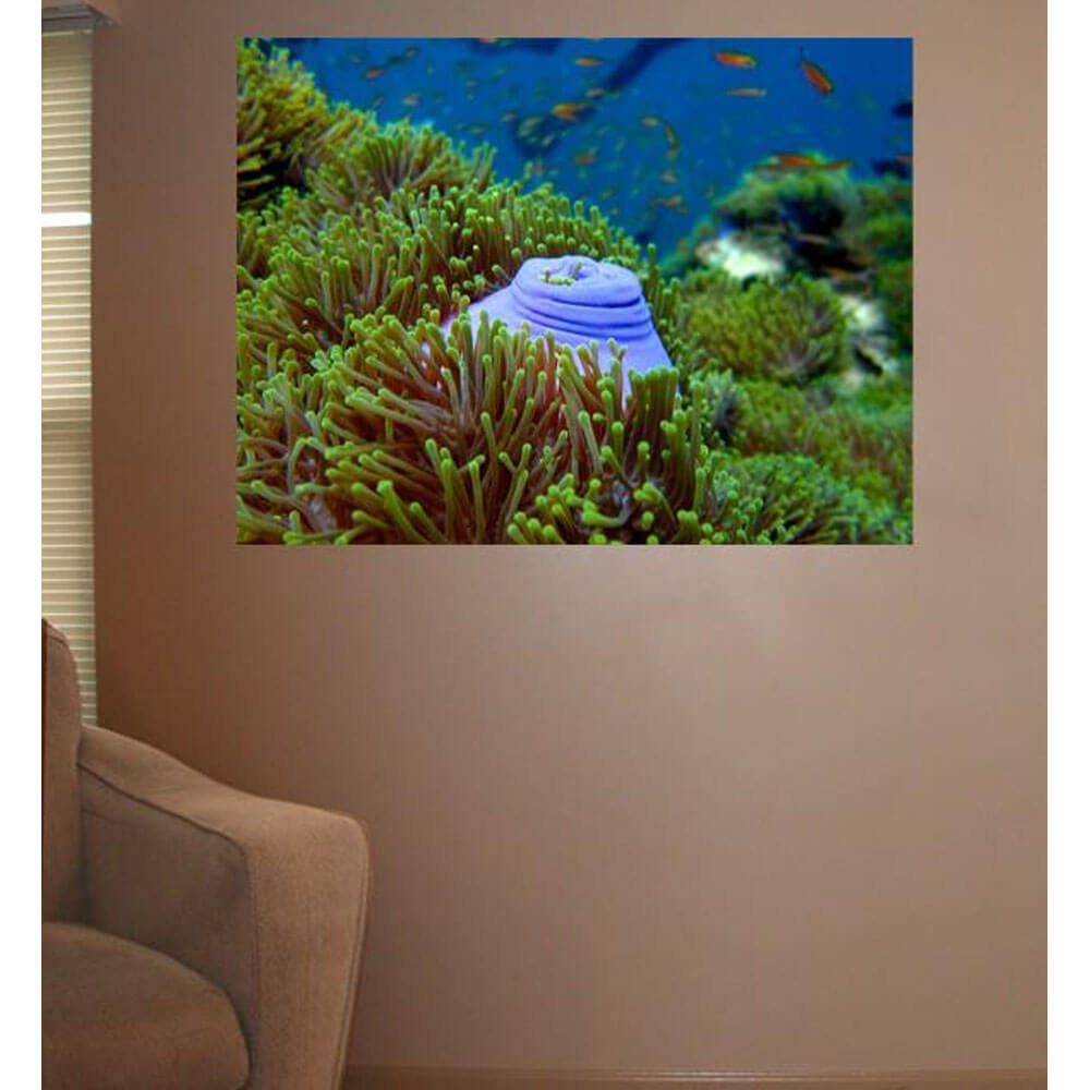 Arena Scuba Snack Glossy Poster Installed