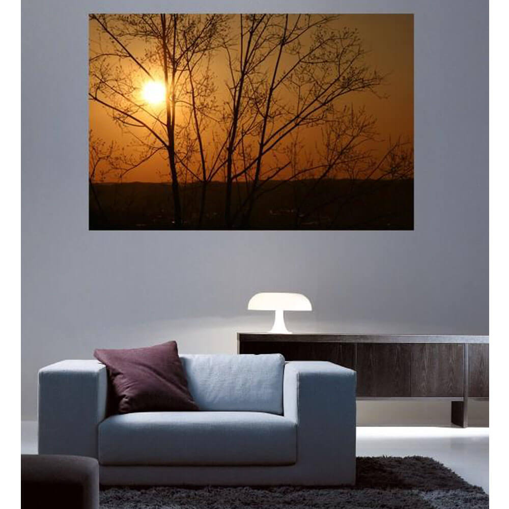 Arena Sunset Wall Decal Installed