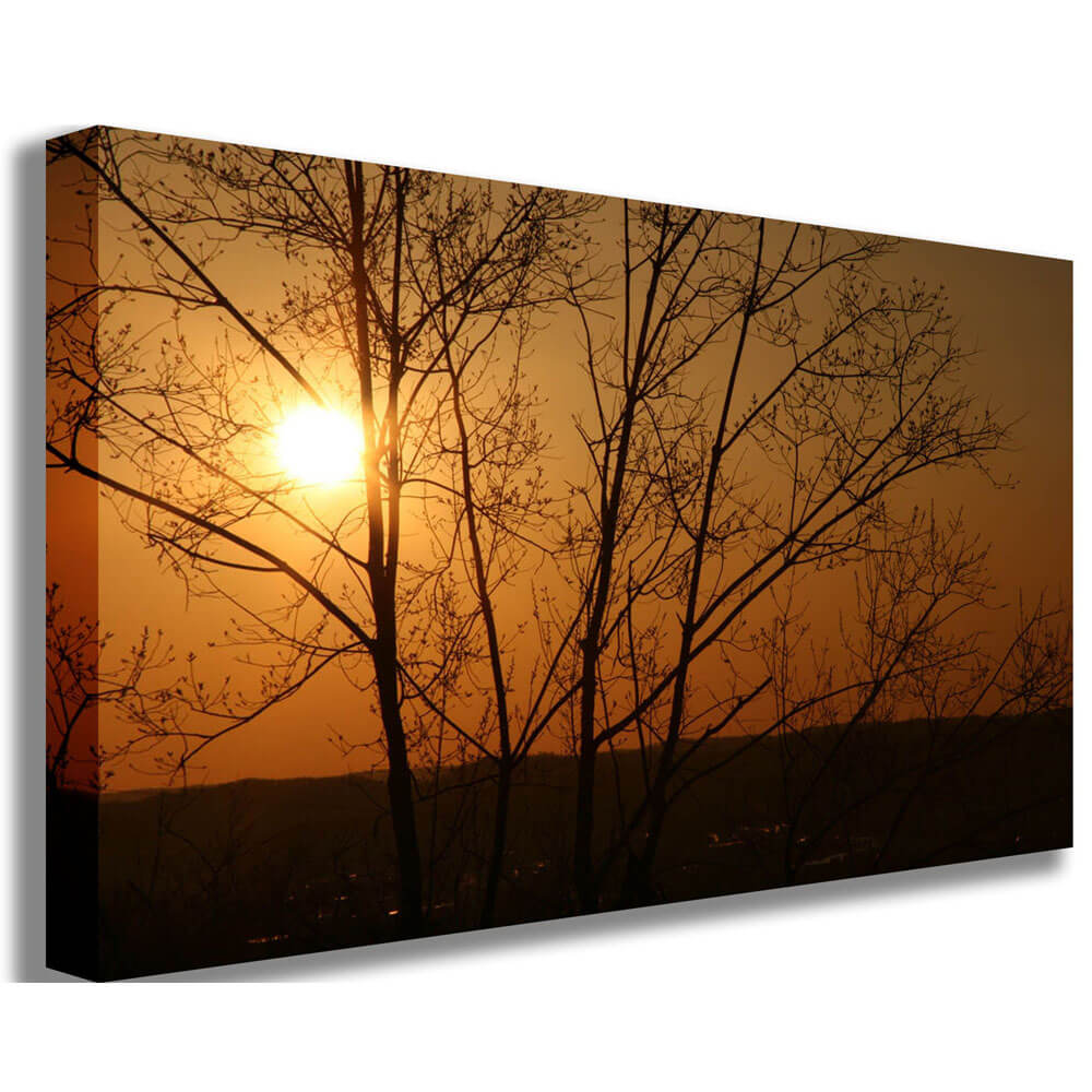 Arena Sunset Canvas Print