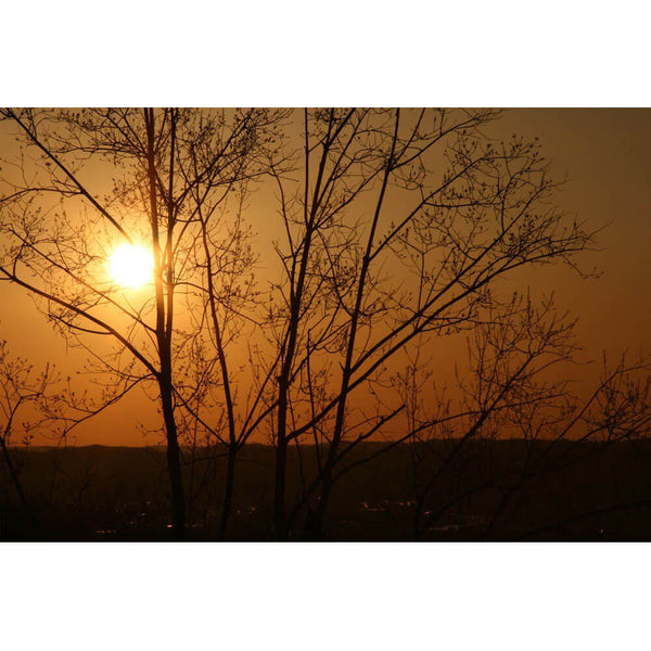 Arena Sunset Wall Decal