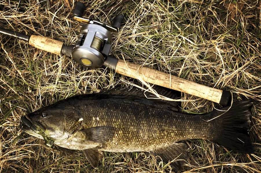 Catch of the Day Wall Decal