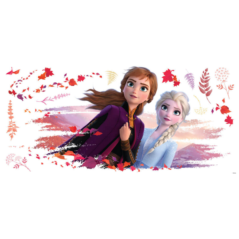 Disney's Frozen 2 Elsa & Anna Wall Decals Printed Sheet