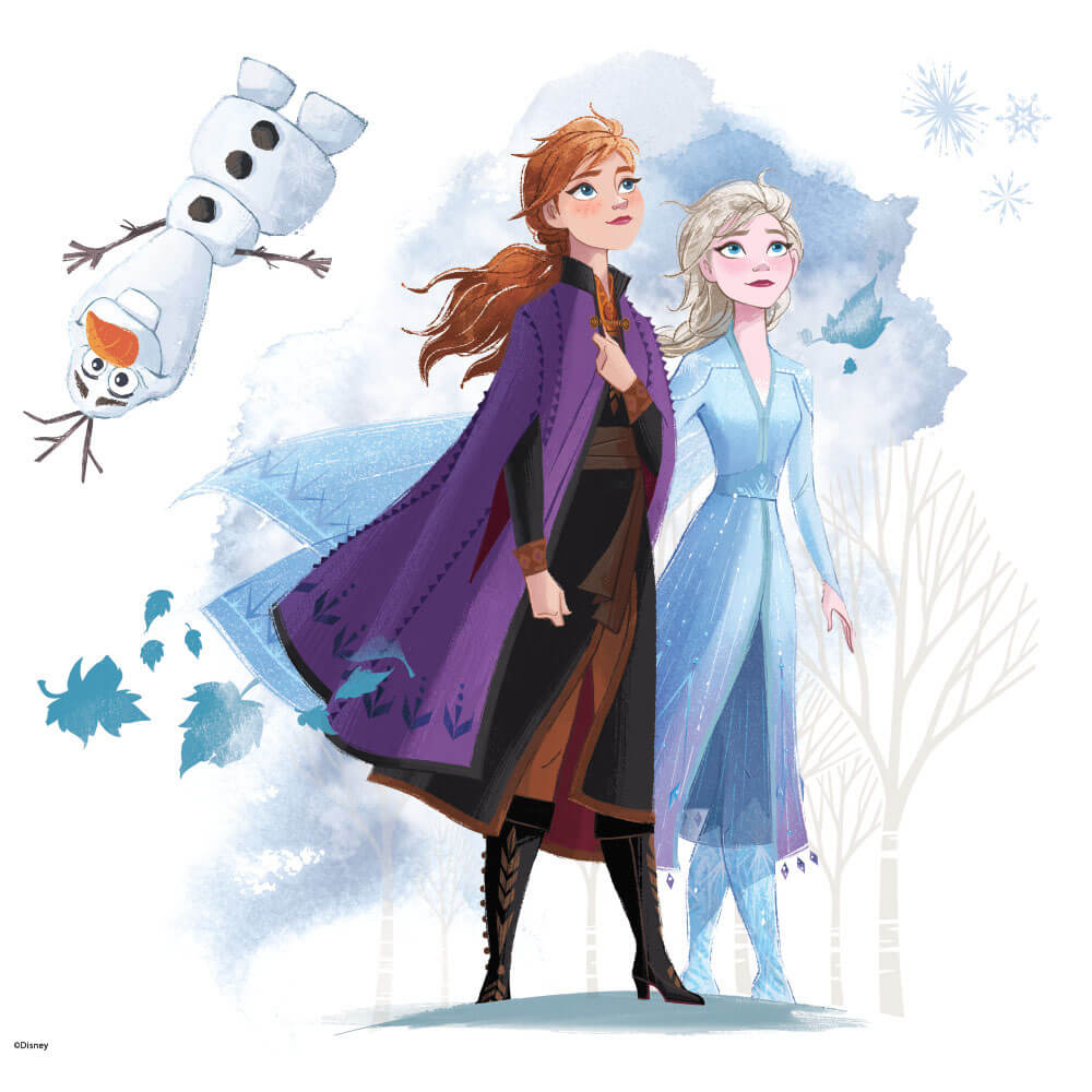 Disney's Frozen 2 Movie Giant Wall Decals Printed Sheet