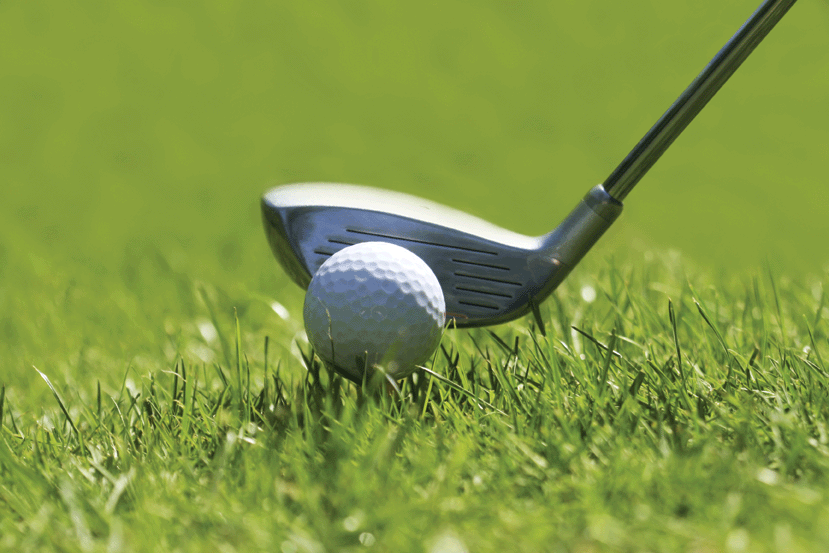 Fairway Drivin' Wall Decal Poster