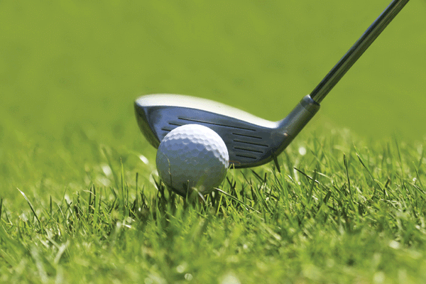 Fairway Drivin' Wall Decal Poster